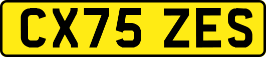 CX75ZES
