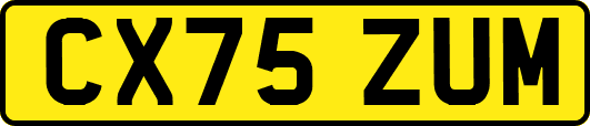 CX75ZUM