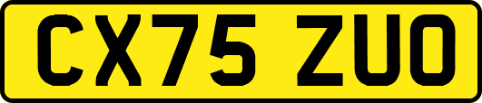 CX75ZUO