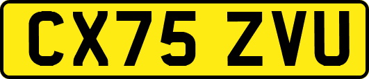 CX75ZVU