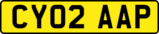 CY02AAP