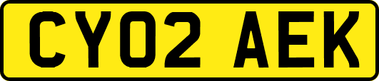 CY02AEK