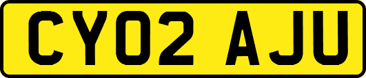 CY02AJU