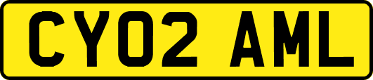 CY02AML