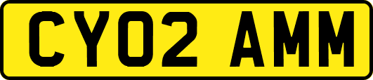CY02AMM
