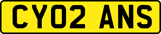CY02ANS