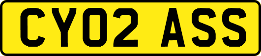 CY02ASS