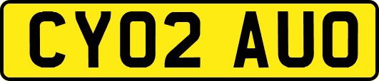 CY02AUO