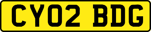 CY02BDG