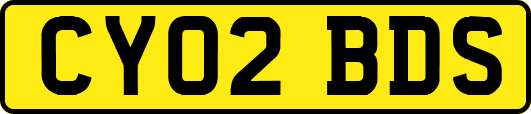 CY02BDS