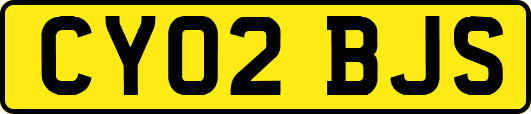 CY02BJS
