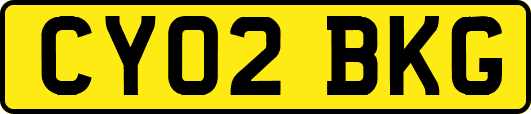 CY02BKG