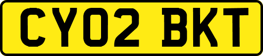 CY02BKT