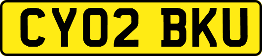 CY02BKU