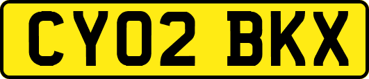 CY02BKX