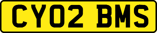CY02BMS