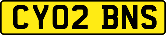 CY02BNS