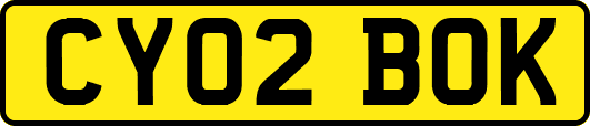 CY02BOK