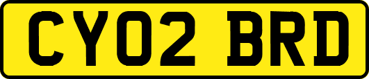 CY02BRD
