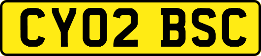 CY02BSC