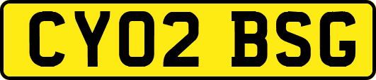CY02BSG