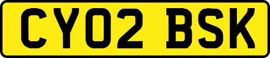 CY02BSK