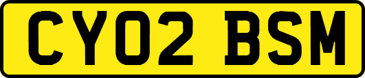 CY02BSM