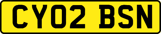 CY02BSN