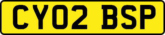 CY02BSP