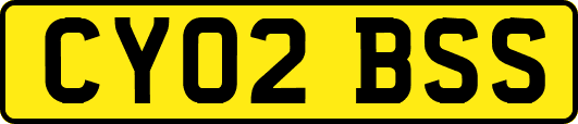 CY02BSS
