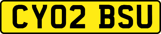 CY02BSU