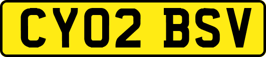 CY02BSV