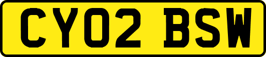 CY02BSW