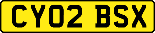 CY02BSX