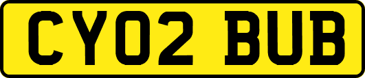 CY02BUB