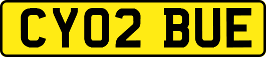 CY02BUE