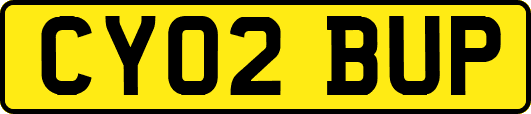 CY02BUP