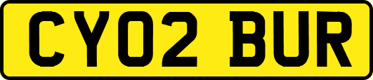 CY02BUR