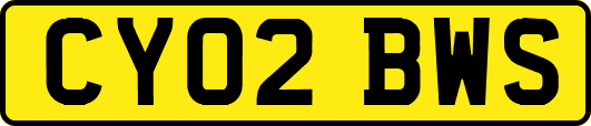 CY02BWS