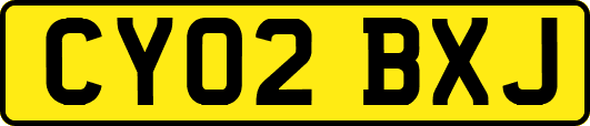 CY02BXJ