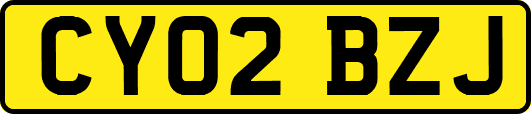 CY02BZJ