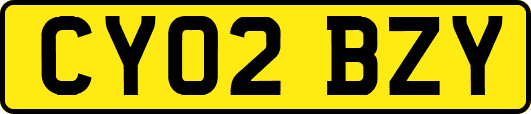 CY02BZY
