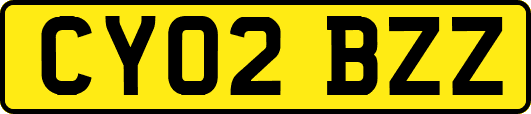 CY02BZZ