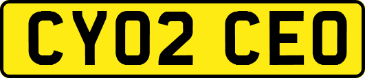 CY02CEO