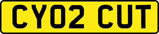 CY02CUT