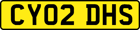 CY02DHS