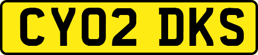 CY02DKS