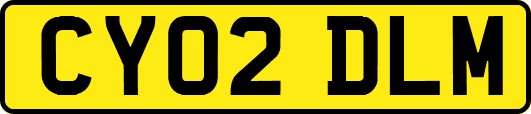CY02DLM