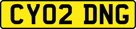 CY02DNG