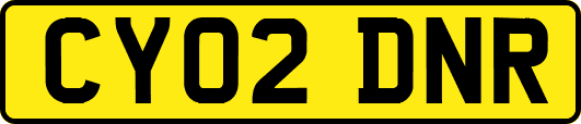 CY02DNR